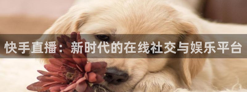 蓝鲸鱼直播app：快手直播：新时代的在线社交与娱乐平台